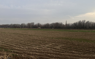 Продажа участка, 1.85 га - Продажа земельных участков в Шымкенте в Каратауском р-не