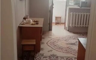 Продажа 1-комнатной квартиры, 29 м² - Продажа квартир в кирпичном доме в Казахстане - страница 6