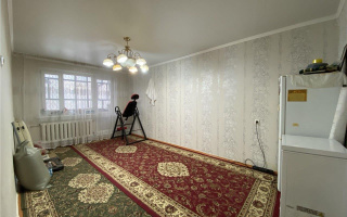 Продажа 2-комнатной квартиры, 48 м² - Продажа квартир в панельном доме в Казахстане - страница 4