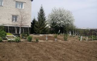 Продажа дома, 540 м², пер. Лазоревый, дом  4 - Продажа домов, коттеджей в Караганде без посредников с фото