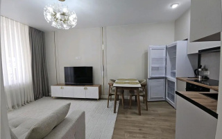 Продажа 2-комнатной квартиры, 38 м² - Продажа квартир в Казахстане - страница 14