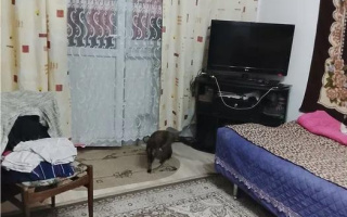 Продажа 2-комнатной квартиры, 52 м², ул. Осипенко, дом  27/2 - Продажа квартир в Казахстане