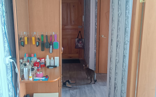 Продажа 3-комнатной квартиры, 60 м² - Продажа квартир в Костанае