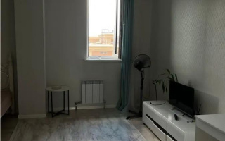 Продажа 1-комнатной квартиры, 38 м² - Продажа однокомнатных квартир от собственников в Астане - страница 19