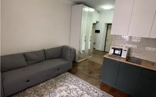 Продажа 1-комнатной квартиры, 24 м² - Продажа однокомнатных квартир в монолитно-каркасном доме в Астане - страница 3