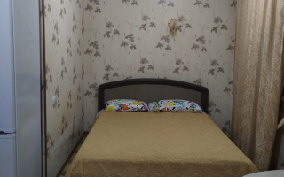 Аренда 1-комнатной квартиры посуточно, 23 м², ул. Манаса, дом  20/1 - Аренда квартир посуточно в Астане с фото