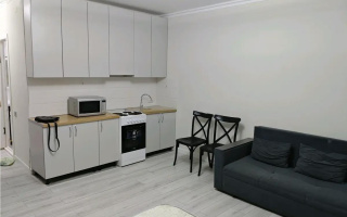 Продажа 1-комнатной квартиры, 29.9 м² - Продажа квартир в новостройках Алматы - страница 4