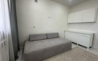 Продажа 1-комнатной квартиры, 22 м² - Продажа однокомнатных квартир от собственников в Астане - страница 4