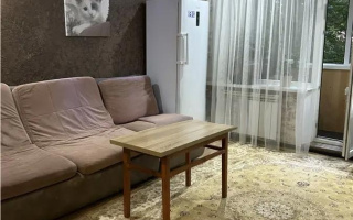 Продажа 3-комнатной квартиры, 62 м² - Продажа квартир в панельном доме в Астане - страница 3