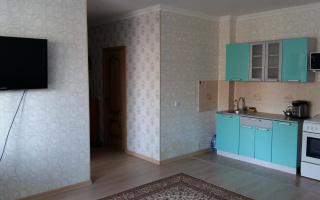 Аренда 1-комнатной квартиры посуточно, 45 м², ул. Сауран, дом  3/1 - Аренда квартир посуточно в Астане с фото