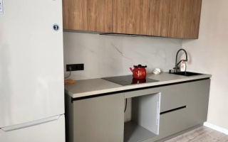 Аренда 1-комнатной квартиры, 42 м² - Аренда квартир помесячно в р-не Сарайшык Астаны