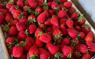 Продажа , 23500 м² - Продажа действующего бизнеса в Алматы