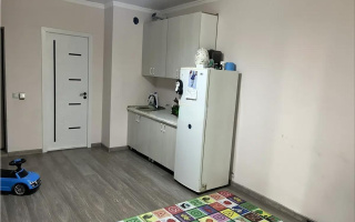 Продажа 1-комнатной квартиры, 26 м² - Продажа однокомнатных квартир от собственников в Алматы - страница 6