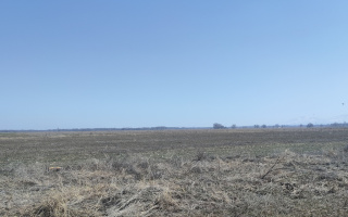 Продажа участка, 1.17 га - Продажа земельных участков в Алматинской области