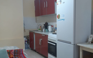 Продажа 1-комнатной квартиры, 40 м², ул. Баглановой, дом  6 - Толеби - Продажа  однокомнатных квартир в Астане без посредников с фото