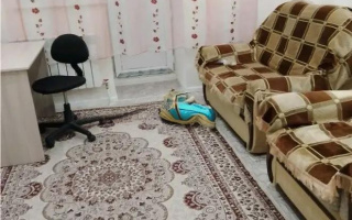 Продажа 1-комнатной квартиры, 31.4 м² - Продажа однокомнатных квартир в кирпичном доме в Астане - страница 3