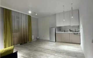 Продажа 1-комнатной квартиры, 32 м² - Продажа однокомнатных квартир от собственников в Астане - страница 3