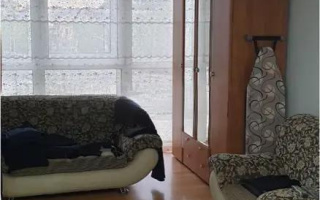 Продажа 1-комнатной квартиры, 55 м², ул. Абая - Продажа  однокомнатных квартир в новостройках Караганды