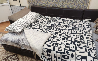 Аренда 1-комнатной квартиры посуточно, 48 м² - Аренда квартир посуточно в Астане - страница 2