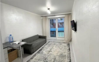 Продажа 1-комнатной квартиры, 28 м² - Продажа квартир в монолитно-каркасном доме в Алматы - страница 5