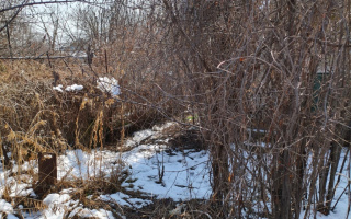 Продажа участка, 11.4 сот. - Продажа земельных участков в Алматинской области