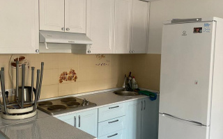 Аренда 1-комнатной квартиры, 30 м² - Аренда жилой и коммерческой недвижимости в Казахстане