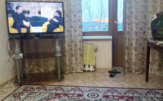 Аренда 1-комнатной квартиры посуточно, 33 м², ул. Курмангазы, дом  173 - Аренда жилой и коммерческой недвижимости в Уральске