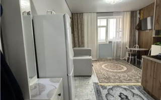 Продажа 1-комнатной квартиры, 24 м² - Продажа однокомнатных квартир от собственников в Астане - страница 29