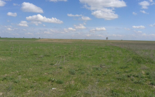 Продажа земельного участка, 10 га, Карой п. - Продажа земельных участков в Алматы с фото