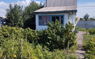 Продажа дачи, 6 сот. - Продажа недвижимости в Караганде - страница 11