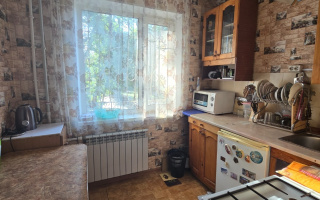 Продажа 1-комнатной квартиры, 30 м² - Продажа недвижимости в Темиртау - страница 3