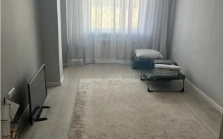 Продажа 1-комнатной квартиры, 47 м² - Продажа квартир в панельном доме в Темиртау - страница 6