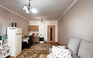 Аренда 1-комнатной квартиры, 35 м² - Аренда квартир помесячно в Казахстане