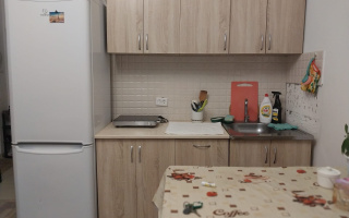 Аренда 1-комнатной квартиры, 21 м² - Аренда однокомнатных квартир помесячно в Астане