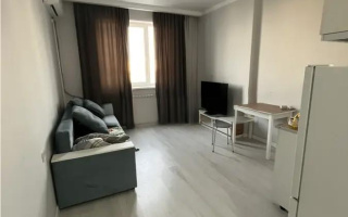 Продажа 1-комнатной квартиры, 21 м² - Продажа однокомнатных квартир от собственников в Алматы - страница 8