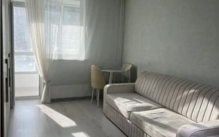 Продажа 1-комнатной квартиры, 24 м² - Продажа квартир от собственников в Астане - страница 10