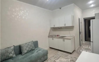 Продажа 1-комнатной квартиры, 20.2 м² - Продажа однокомнатных квартир от собственников в Астане