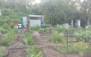 Продажа дачи, 7.8 сот., ПКСТ "Мичуринец" ул.Садовая, участок 24 - Продажа и аренда недвижимости в Костанае