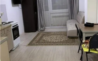 Продажа 1-комнатной квартиры, 25 м² - Продажа квартир-студий в Алматы - страница 11