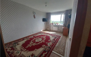 Продажа 1-комнатной квартиры, 30 м² - Продажа квартир в панельном доме в Темиртау - страница 6