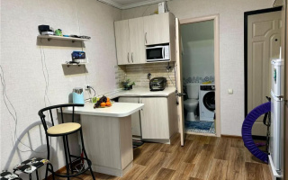 Продажа 1-комнатной квартиры, 14 м², ул. А. Шарипова, дом  120 - Продажа квартир в Алматы