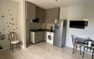 Аренда 1-комнатной квартиры, 25.1 м² - Аренда квартир помесячно в Астане - страница 2
