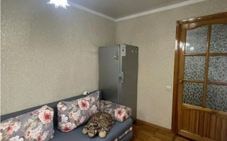 Продажа 3-комнатной квартиры, 51 м² - Продажа трехкомнатных квартир в кирпичном доме в Казахстане - страница 2