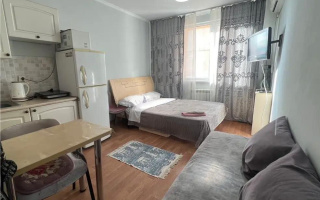Продажа 1-комнатной квартиры, 18 м² - Продажа однокомнатных квартир от собственников в Алматы - страница 10
