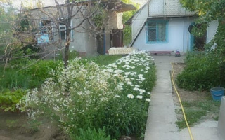 Продажа дачи, 1 сот., Жумбактас, 11 - Продажа дач в Шымкенте