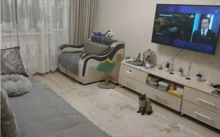 Продажа 1-комнатной квартиры, 30 м², мкр-н 16, дом  20 - Продажа  однокомнатных квартир в Караганде без посредников