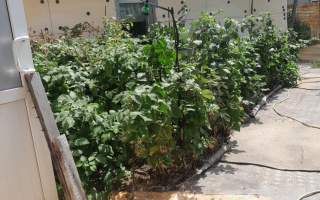 Продажа 4-комнатного дома, 89 м², ул. Бадина - Продажа домов, коттеджей в Караганде