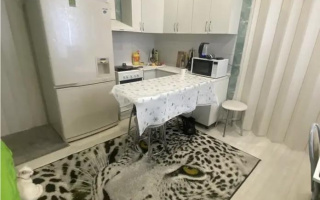 Продажа 2-комнатной квартиры, 30 м² - Продажа двухкомнатных квартир от собственников в Астане - страница 109