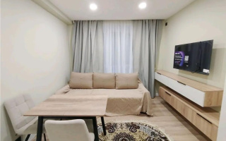 Продажа 1-комнатной квартиры, 20 м², ул. Байзакова, дом  289 - Продажа  однокомнатных квартир в Алматы с фото