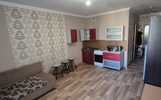 Аренда 1-комнатной квартиры, 30 м² - Аренда квартир помесячно в Астане - страница 3